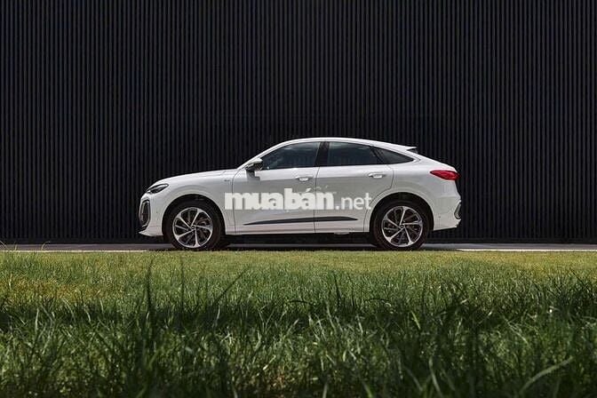 Xe Audi Q5 Sportback Sline 45 TFSI Quattro 2026