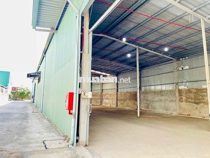 Cho thuê kho xưởng 780m2, pccc tự động, quận Bình Tân