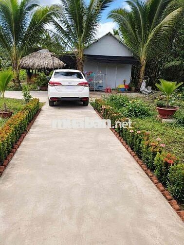 🏡 BÁN NỀN GIÁ RẺ – HẺM 76 NGUYỄN TRÃI, KV6, PHƯỜNG VỊ THANH – TP. CẦN