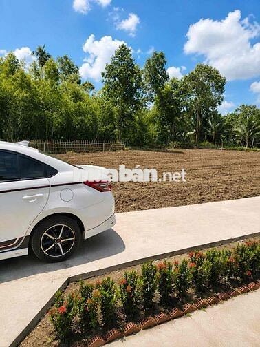 🏡 BÁN NỀN GIÁ RẺ – HẺM 76 NGUYỄN TRÃI, KV6, PHƯỜNG VỊ THANH – TP. CẦN