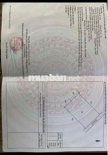 E cần BÁN Đất Xuân tâm Xuân Hưng nay thuộc Xuân hòa