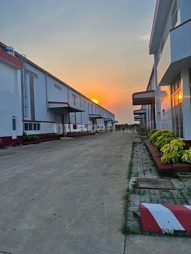 Cho Thuê Kho 1.600m² Mặt Tiền Nguyễn Hữu Trí, Bình Chánh - Giá 150 Tr