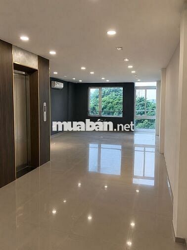 Đủ loại điện tích, có thang máy, điều hòa mát lạnh, nhà vệ sinh riêng