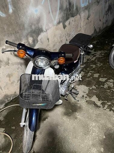 Honda Cub 50 2022 Xanh Trắng