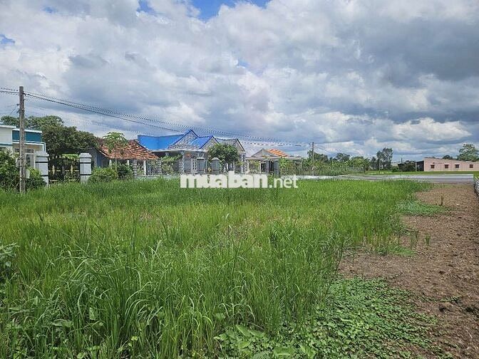 cắt bán trả nợ gấp,đất Tiền Giang,SHR,HXH
