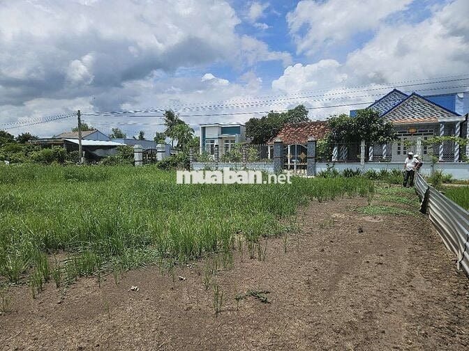 cắt bán trả nợ gấp,đất Tiền Giang,SHR,HXH