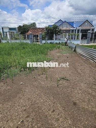 cắt bán trả nợ gấp,đất Tiền Giang,SHR,HXH