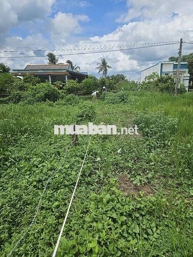 cắt bán trả nợ gấp,đất Tiền Giang,SHR,HXH