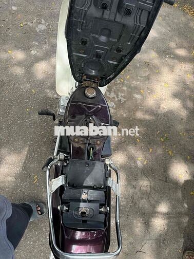 Honda Dream 50cc Nâu Trắng 2019