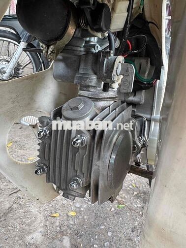 Honda Dream 50cc Nâu Trắng 2019