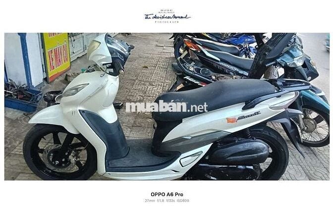 CẦN BÁN XE SHARK NGUYÊN RIN MỚI KENG