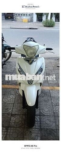 CẦN BÁN XE SHARK NGUYÊN RIN MỚI KENG