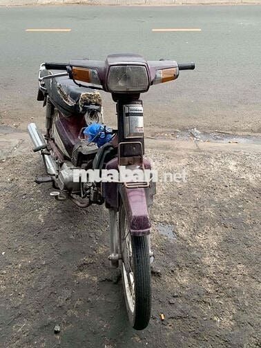 Honda Dream 2024 Đỏ tím