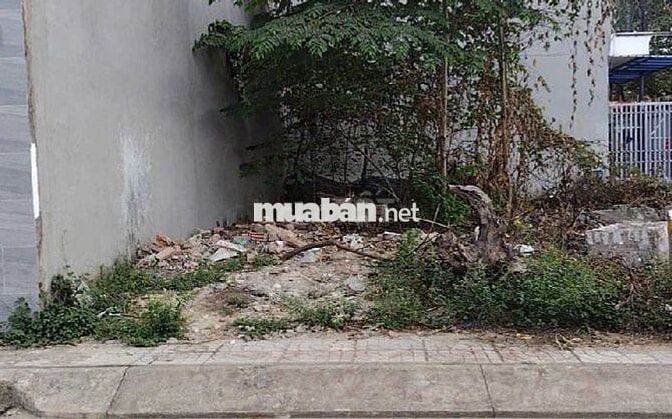 Đất Rẻ Phân Lô Hẻm Xe Hơi Linh Xuân Thủ Đức, Đầu Tư Đất Thổ Cư Thủ Đức