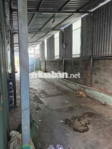 Cho Thuê Kho/Xưởng 1000m, Mặt Tiền 6m, Xe Tải Vào Tận Nơi