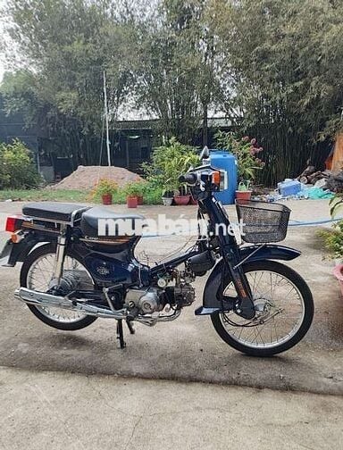 Honda Cub Cổ điển Xanh đậm