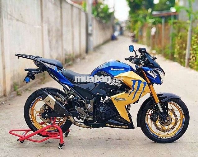 Kawasaki Z300