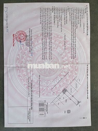 Bán nhà mặt tiền Dương Quảng Hàm, quận Gò Vấp