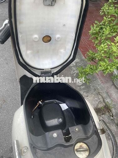 Honda Scoopy 2024 Trắng 2006195 km