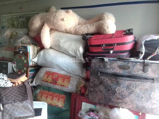 Gấu nhồi bông BIG SIZE (NÂU) giá 1.000.000 Đ