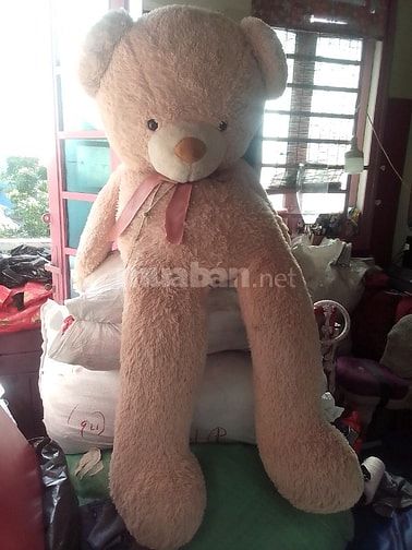 Gấu nhồi bông BIG SIZE (NÂU) giá 1.000.000 Đ