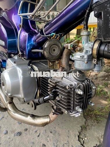 Honda Cup 81 bs 65 chính chủ