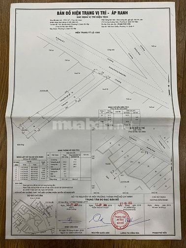 Bán nhà mặt tiền rộng CITYPLAND (5x35) 72 DƯƠNG QUẢNG HÀM P5 Gò Vấp 