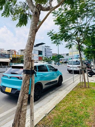 Bán nhà mặt tiền rộng CITYPLAND (5x35) 72 DƯƠNG QUẢNG HÀM P5 Gò Vấp 