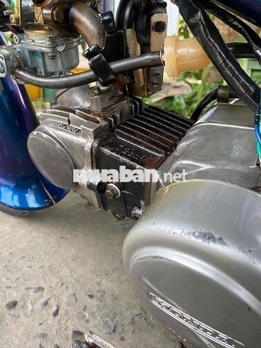 Honda Cup 81 bs 65 chính chủ