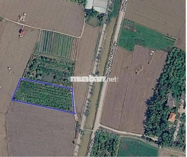 Bán đất lúa khu Nhơn Thạnh Trung, ô tô vào tới đất, thông DT833