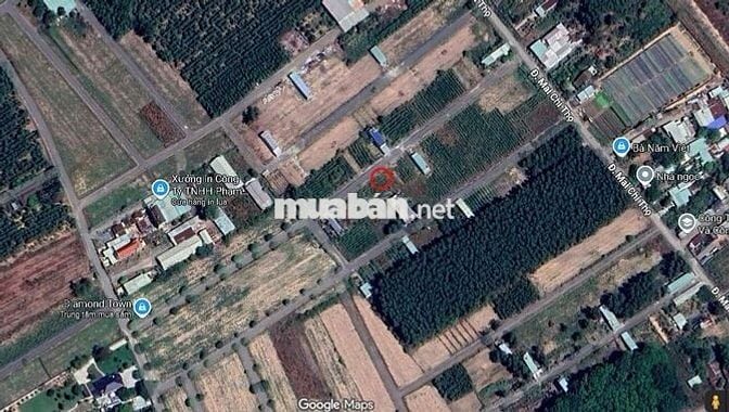 Bán đất tại Phường Tam Phước, Đồng Nai