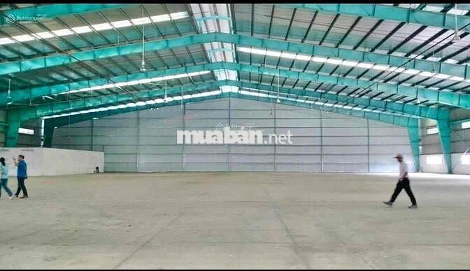 Cho thuê kho đẹp, hiếm có khó tìm, giá tốt, pccc tự động, đường cont