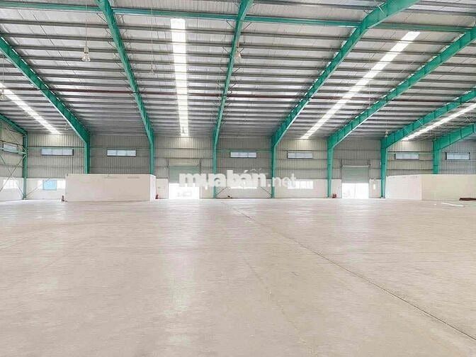 Cho thuê kho đẹp, hiếm có khó tìm, giá tốt, pccc tự động, đường cont