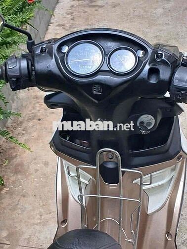 Suzuki Hayate Nâu trắng bstp