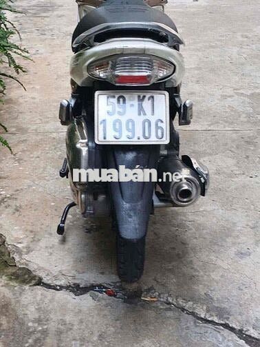 Suzuki Hayate Nâu trắng bstp