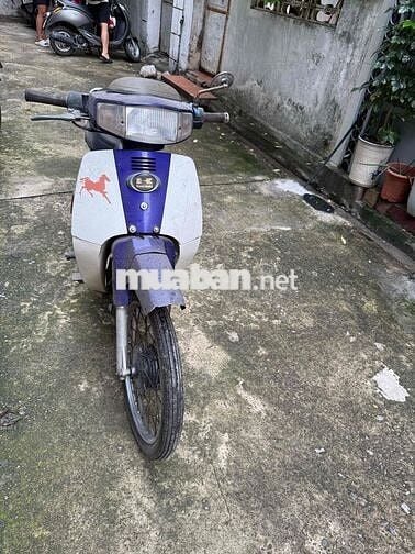 Kawasaki Max II 1999 Trắng, Tím