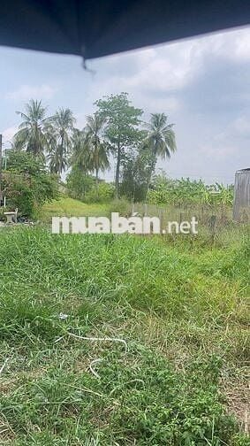 Bán đất phường 6 , TP Tân An , Long An (cũ) hẽm xe 3 gác