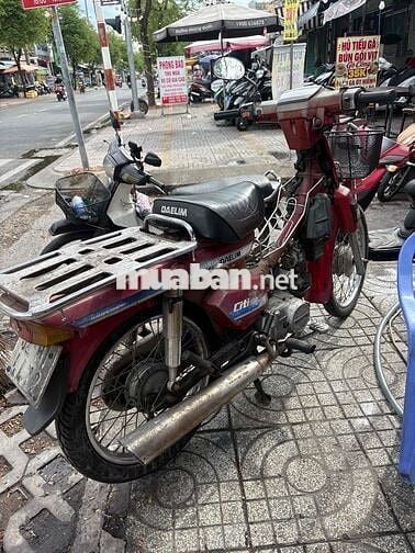 Honda Citi 2024 Đỏ