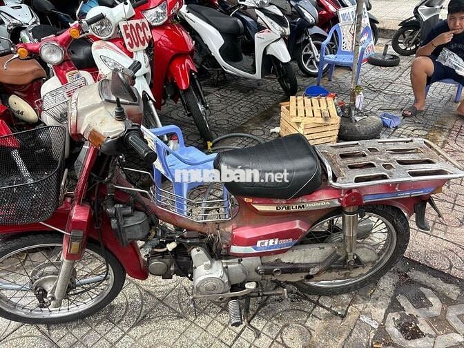 Honda Citi 2024 Đỏ