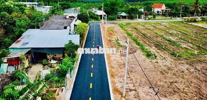ĐẤT VÀNG SINH LỜI, ĐẦU TƯ VỮNG TƯƠNG LAI, PHÁP LÝ CHUẨN