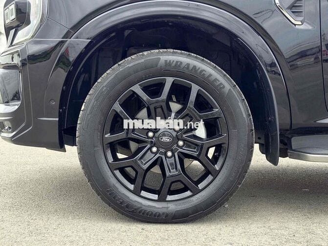 Ford Everest Titanium 4x4 2023 Đen