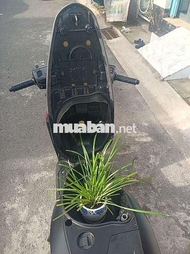 Honda Vision 2019 Đặc biệt màu Đen
