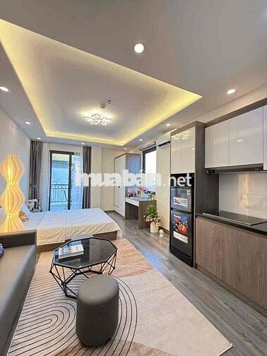 Cho thuê căn hộ 1PN 30m² mới 100% gần chợ Bà Chiểu, Quận 1 Bình Thạnh