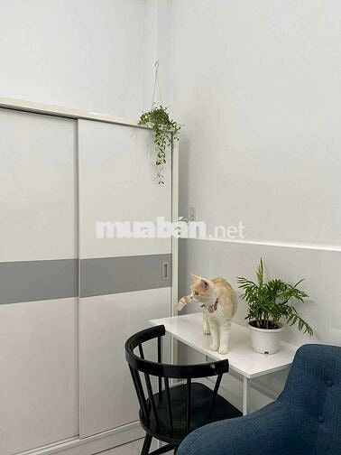 ✨️Cho thuê phòng stu 30m2 full nội thất cửa sổ gần chợ Bà Chiểu