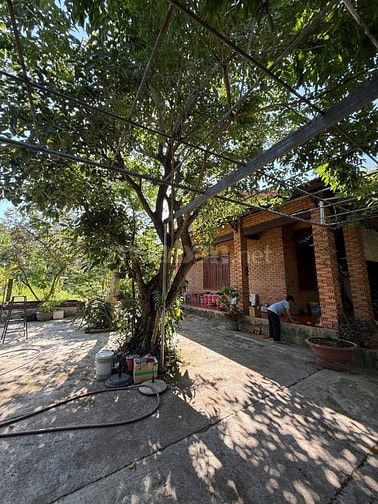 Quỹ Đất Mặt Tiền Hơn 100m - Cơ Hội Không Dễ Gặp, Đăk Blà, TP. Kon Tum