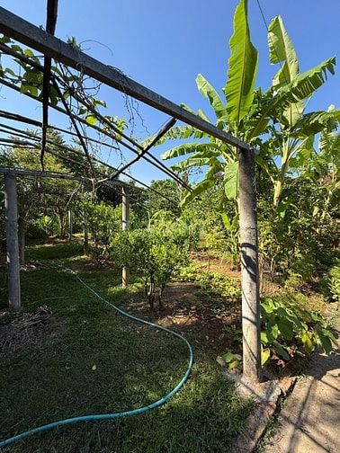 Quỹ Đất Mặt Tiền Hơn 100m - Cơ Hội Không Dễ Gặp, Đăk Blà, TP. Kon Tum