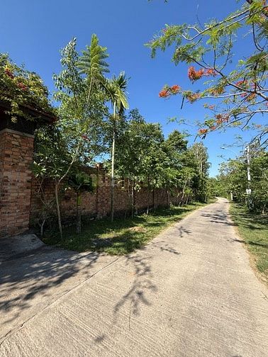Quỹ Đất Mặt Tiền Hơn 100m - Cơ Hội Không Dễ Gặp, Đăk Blà, TP. Kon Tum