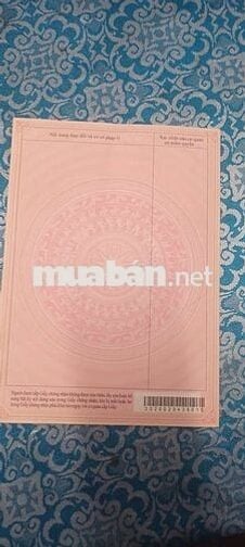 BÁN LÔ ĐẤT 5×25 ĐƯỜNG 15M. HƯỚNG NAM