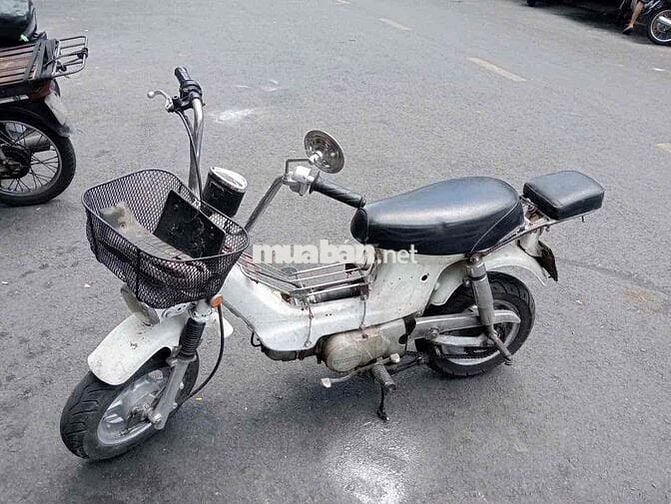 Honda Chaly 79 Trắng
