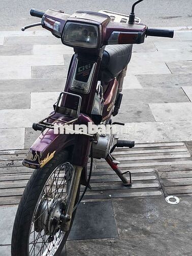 Honda Citi 2024 Tím